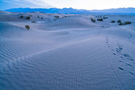 beautiful landscape  of  Mesquite Flat Sand Dunes. Death Valley National Park, California, USA.の写真素材