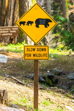 bear sign on the road in national park.の写真素材