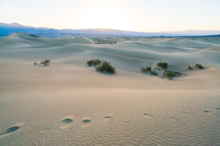 beautiful landscape  of  Mesquite Flat Sand Dunes. Death Valley National Park, California, USA.の写真素材