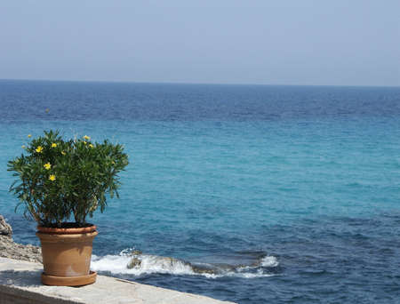 Ocean Viewの写真素材