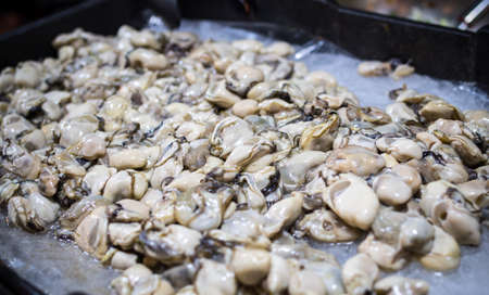 Oyster ingredient prepare to be cookingの写真素材