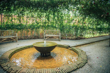 Rose garden and water for background or text selective focusの写真素材