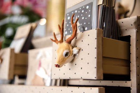 Deer hand grip on bookshelfの写真素材