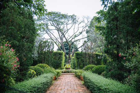 English style garden and big tree in the middle with pathway to walk.の写真素材