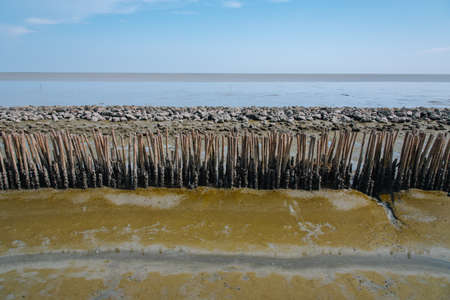 Beach with stone and bamboo between sea and dirt. Sea erosion barrierの写真素材