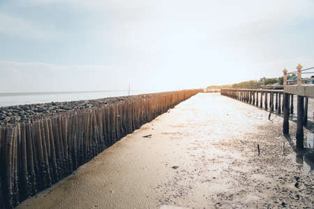 Beach with stone and bamboo between sea and dirt. Sea erosion barrierの写真素材
