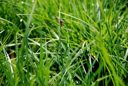 Nature is as colorful as beautiful の写真素材