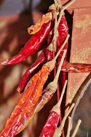 Chillis red dried on a stringの写真素材