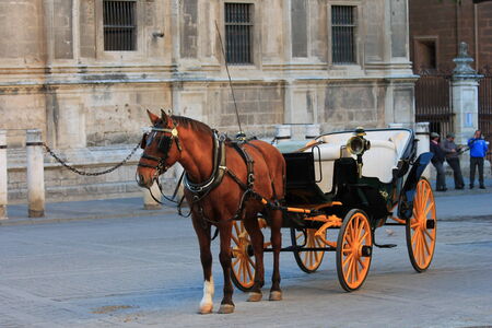 Horse and carriage spainの写真素材