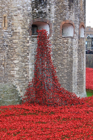 London, United Kingdom - 28th September 2014: Almost 900,000 ceramic poppies are installed at The Tower of London to commemorate Britain's involvement in the First World War.のeditorial素材