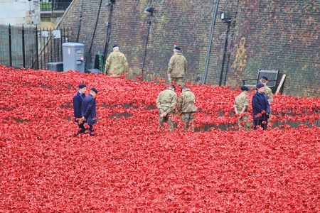 London, United Kingdom - 28th September 2014: Almost 900,000 ceramic poppies are installed at The Tower of London to commemorate Britain's involvement in the First World War.のeditorial素材