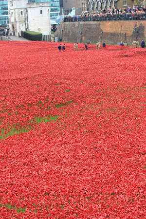 London, United Kingdom - 13 August 2014: Almost 900,000 ceramic poppies are installed at The Tower of London to commemorate Britain\\のeditorial素材