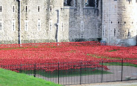 London, United Kingdom - 13 August 2014: Almost 900,000 ceramic poppies are installed at The Tower of London to commemorate Britain\'s involvement in the First World War.のeditorial素材