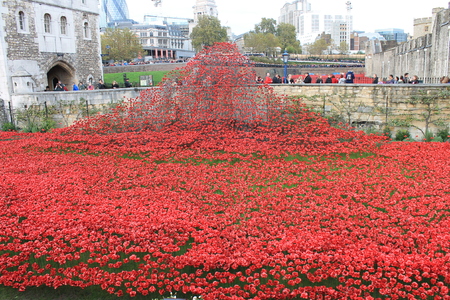 London, United Kingdom - 13 August 2014: Almost 900,000 ceramic poppies are installed at The Tower of London to commemorate Britain\'s involvement in the First World War.のeditorial素材