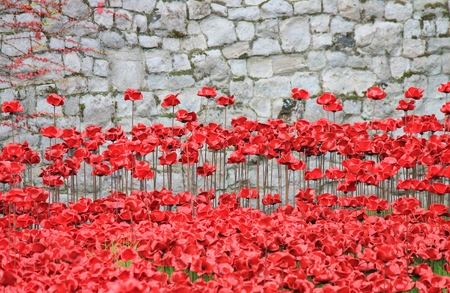 London, United Kingdom - 13 August 2014: Almost 900,000 ceramic poppies are installed at The Tower of London to commemorate Britain\\\\\\\\のeditorial素材