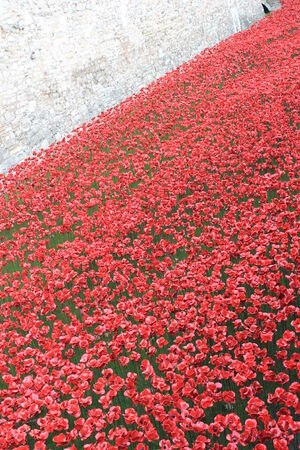 London, United Kingdom - 13 August 2014: Almost 900,000 ceramic poppies are installed at The Tower of London to commemorate Britain\\のeditorial素材