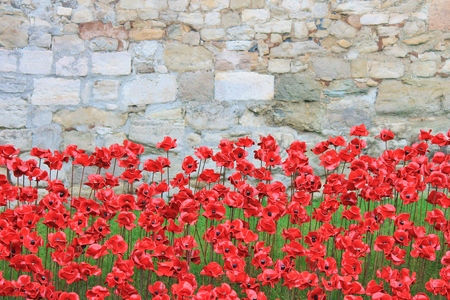 London, UK - 13 August 2014: Poppies at The Tower of London for rememberance Sundayのeditorial素材