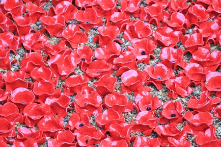 London, UK - 13 August 2014: Poppies at The Tower of London for rememberance Sundayのeditorial素材