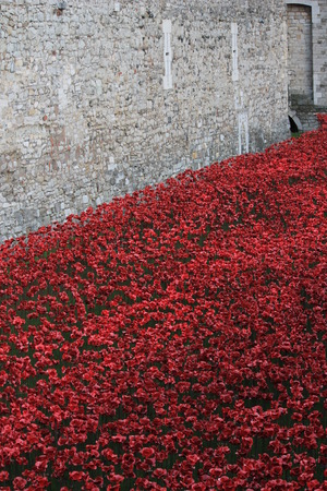 London, UK - 13 August 2014: Poppies at The Tower of London for rememberance Sundayのeditorial素材