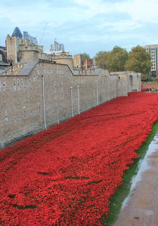 London, UK - 13 August 2014: Poppies at The Tower of London for rememberance Sundayのeditorial素材