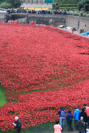 London, UK - 13 August 2014: Poppies at The Tower of London for rememberance Sundayのeditorial素材