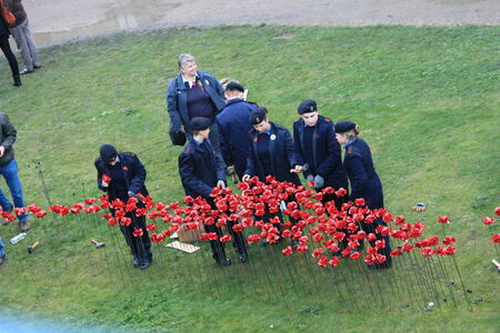 London, United Kingdom - 13 August 2014: Almost 900,000 ceramic poppies are installed at The Tower of Londonのeditorial素材