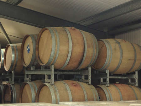Barrels at vineyard