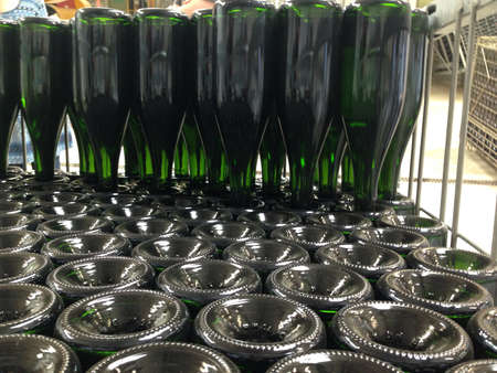 Wine bottles at vineyard production stageの素材