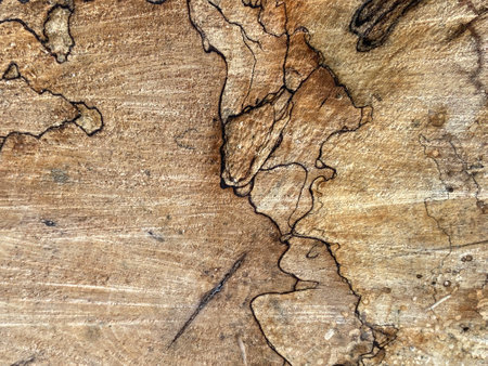 Old wood texture background. Floor surface with cracks. Old wood texture backgroundの写真素材
