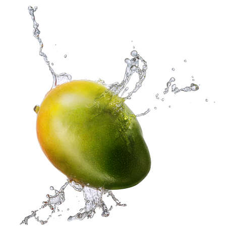 Water splash and fruits isolated on white backgroud with clipping path. Fresh mangoの写真素材