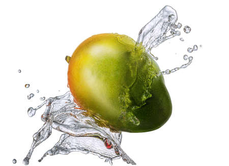 Water splash and fruits isolated on white backgroud with clipping path. Fresh mangoの写真素材