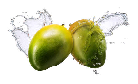 Water splash and fruits isolated on white backgroud. Fresh mangoの写真素材
