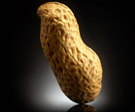 Peanut on black background with reflection. Close-up or macro. Health concept
