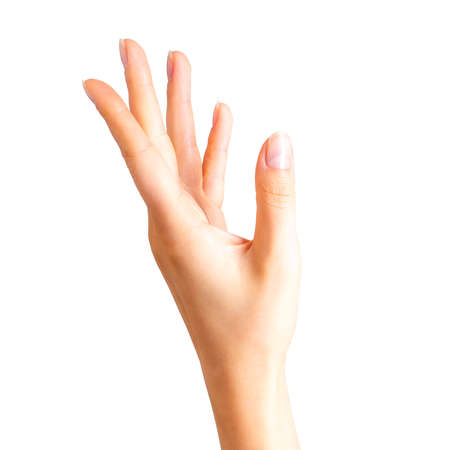 Woman beautiful hands showing somethin. Spa, soft skin and skincare concept. Isolated with clipping path.の写真素材