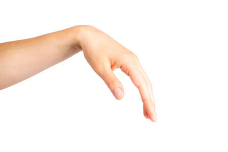 Woman beautiful hands showing somethin. Spa, soft skin and skincare concept. Isolated with clipping path.の写真素材