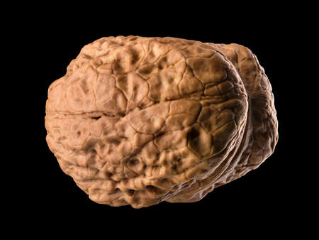 Macro photo of whole not opened walnut isolated on a black