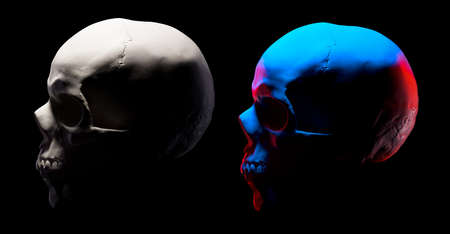 Set of gypsum model of the human skulls isolated on black