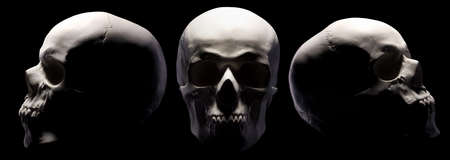 Set of gypsum model of the human skulls isolated on black background with clipping path. Concept of terror, physiology learning and drawing.の写真素材