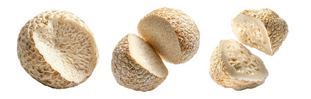 Set of white alba truffles isolated on white transparent background, great for culinary and gourmet themes.の素材