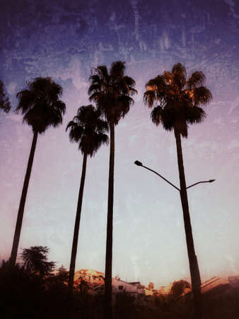 Grunge palm trees and houses, tropical background