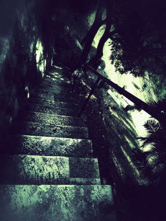 Dark green stone grunge stairs and a palm treesの写真素材