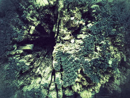 Old wooden textured green grunge backgroundの写真素材