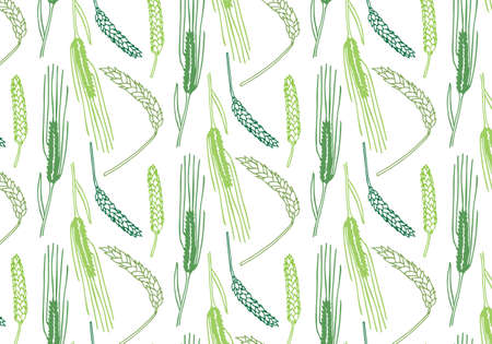 Hand drawn spring wheat vector pattern in green color palette on a white backgroundのイラスト素材
