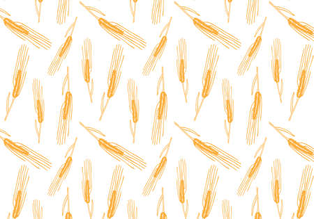 Vector pattern illustration hand drawn spring wheat in orange color. Malt beer background. Autumn harvest.のイラスト素材