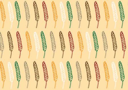 Vector pattern illustration hand drawn spring wheat in orange,green, brown, red, white and gray colors palette. Malt beer background. Autumn harvest.のイラスト素材