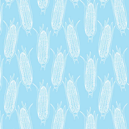 Vector hand drawn Corn cobs pattern in white color on light blue backgroundのイラスト素材