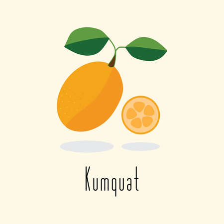 Kumquat fruit vectorのイラスト素材