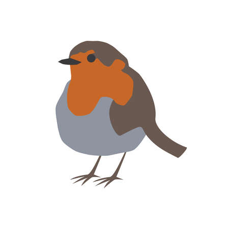 Robin bird orange vector portraitのイラスト素材