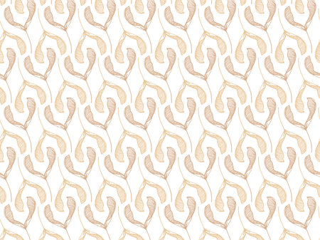 Sycamore seeds, Helicopter seeds, patternのイラスト素材