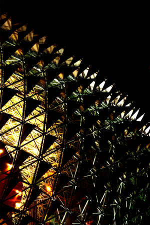 Singapore Esplanade Theater at night - Abstractのeditorial素材